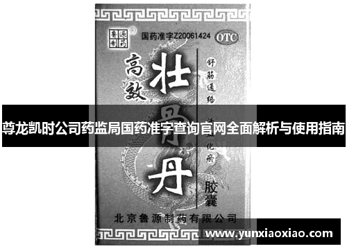 尊龙凯时公司药监局国药准字查询官网全面解析与使用指南