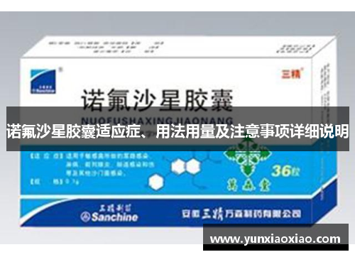 诺氟沙星胶囊适应症、用法用量及注意事项详细说明